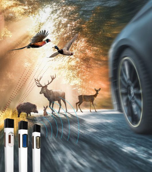 WEGU2-scaled-600x600